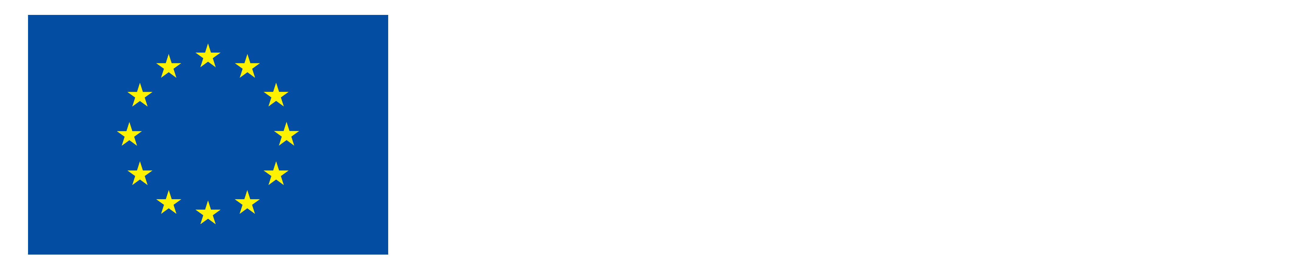 european flag